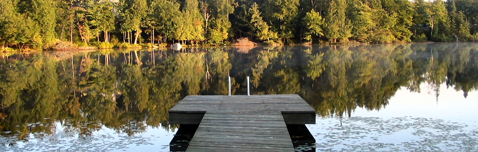 Un environnement enchanteur ou la nature regorge de beaut�e